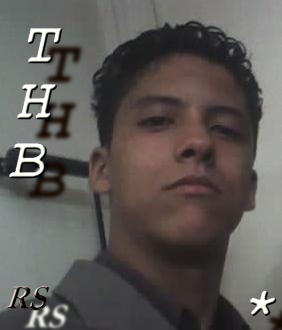 Mir THB Vip alias Trhoubicha